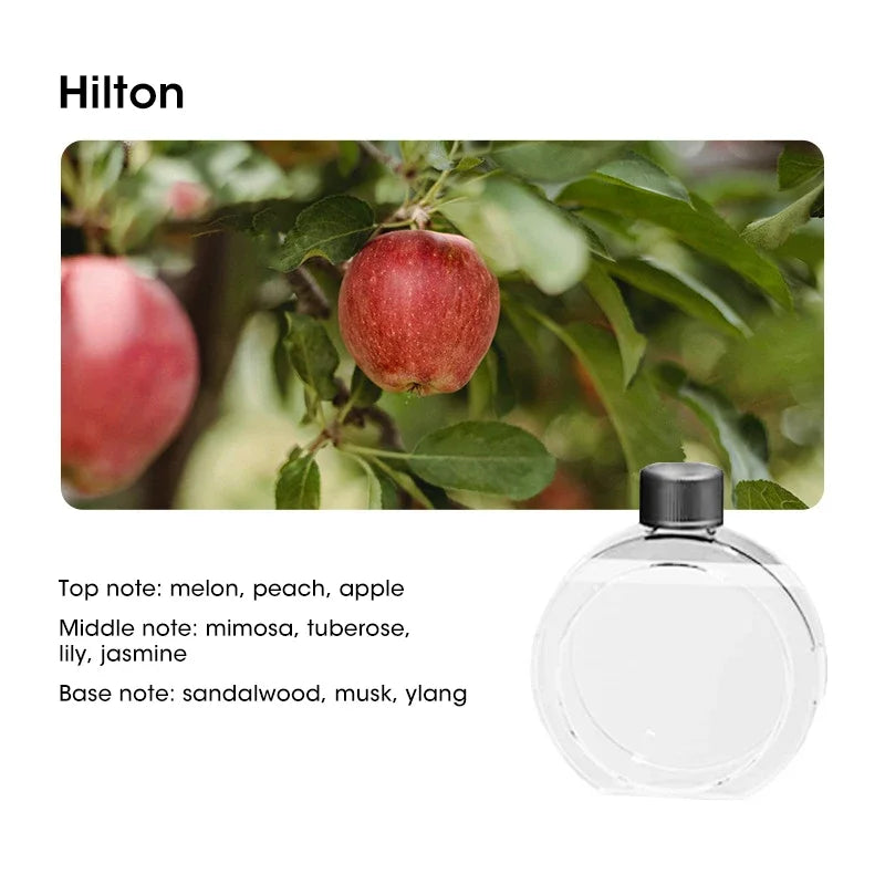 Home Desktop Diffuser