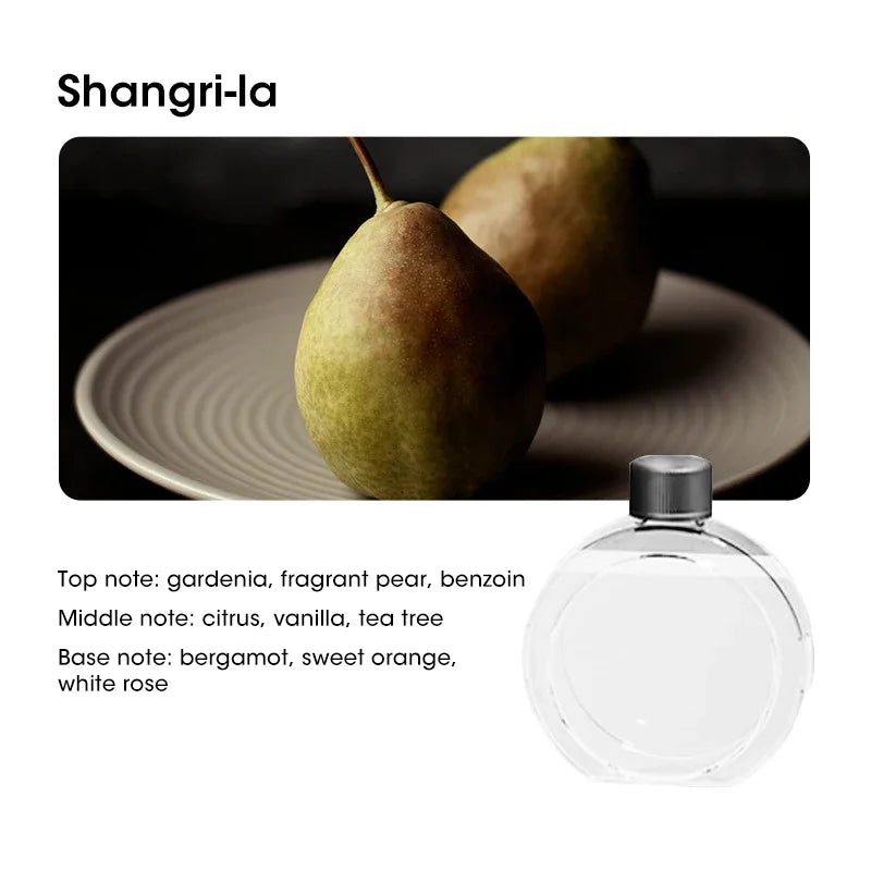 Home Desktop Diffuser